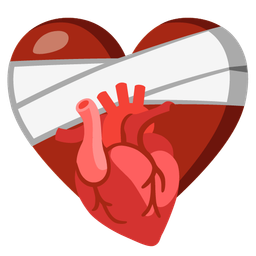 anatomical heart and mending heart