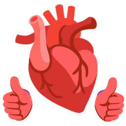 anatomical heart and thumbs up
