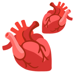 anatomical heart and two hearts