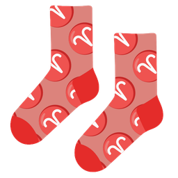 Aries and socks