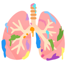 artist palette and lungs