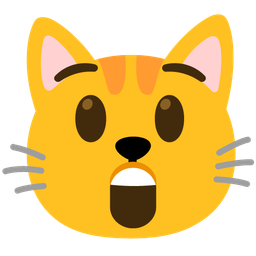 astonished face and cat face