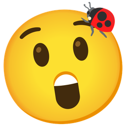Astonished face and Lady beetle