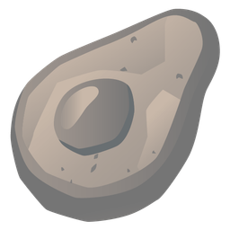 avocado and rock