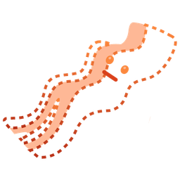 bacon and dotted line face