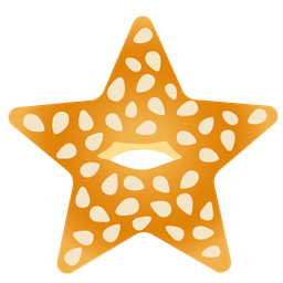 bagel and star