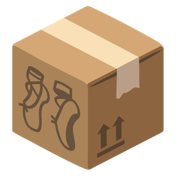ballet shoes and package