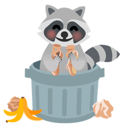 ballet shoes and raccoon