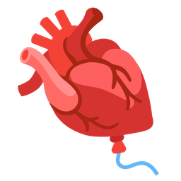 balloon and anatomical heart