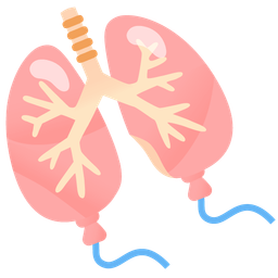 balloon and lungs