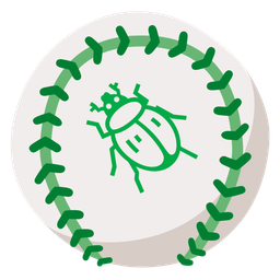 baseball and beetle