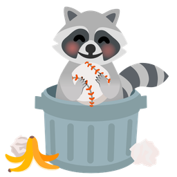 baseball and raccoon