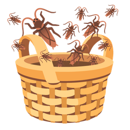 Basket and Cockroach