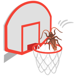 basketball and cockroach