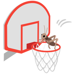 basketball and cricket