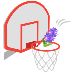 basketball and hyacinth