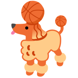 basketball and poodle
