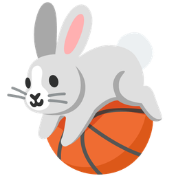 basketball and rabbit face