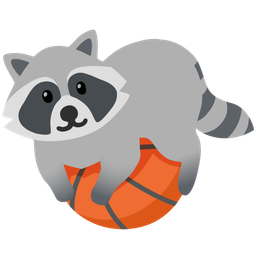 basketball and raccoon