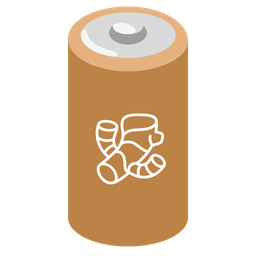 battery and ginger root