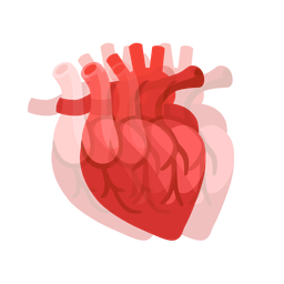 beating heart and anatomical heart