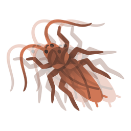 beating heart and cockroach