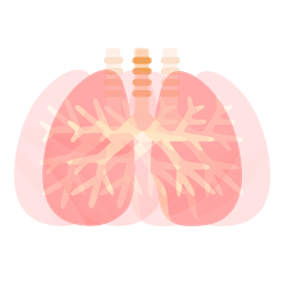 beating heart and lungs