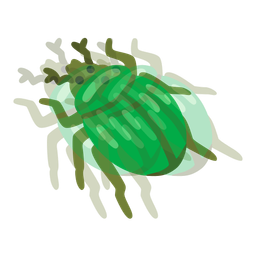 beetle and beating heart