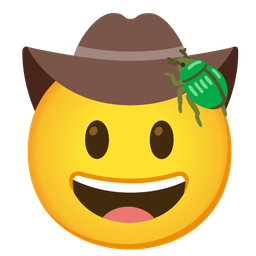 beetle and cowboy hat face