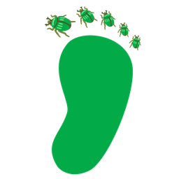 beetle and footprints