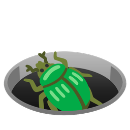 beetle and hole