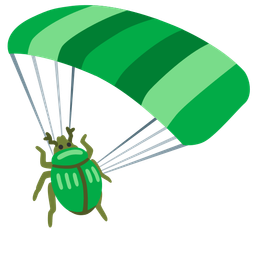 beetle and parachute