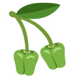 bell pepper and cherries