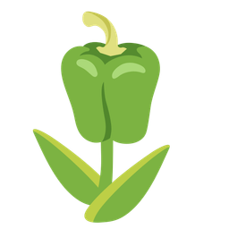 bell pepper and tulip