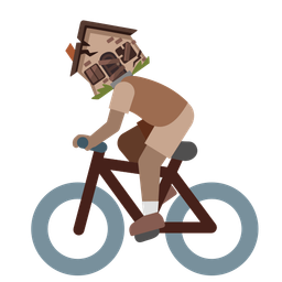 bicycle and derelict house