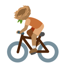 bicycle and empty nest