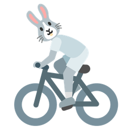 bicycle and rabbit face