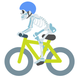 bicycle and skull