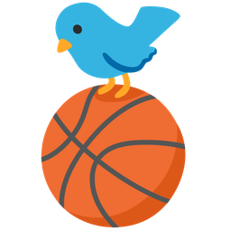 bird and basketball
