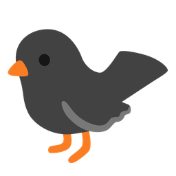 bird and black heart