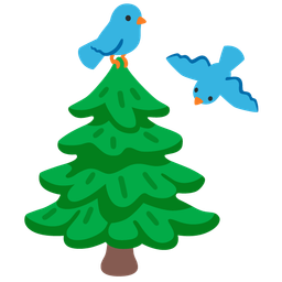 bird and evergreen tree