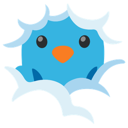 bird and face in clouds