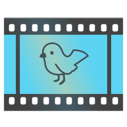 bird and film frames