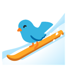 bird and skis