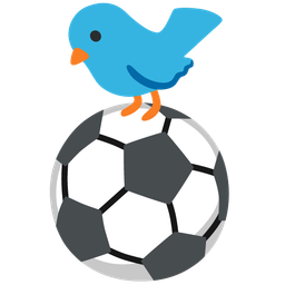 bird and soccer ball