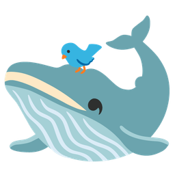 bird and spouting whale