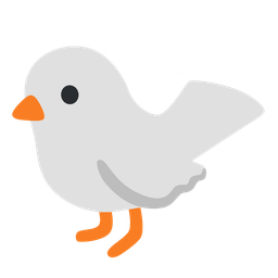 bird and white heart