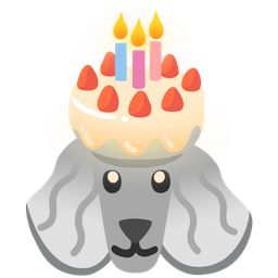 Birthday cake and Poodle