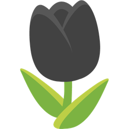 black heart and tulip