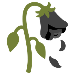 black heart and wilted flower